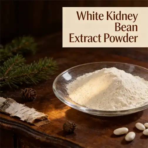 How Does White Kidney Bean Extract Powder Block Carbs Naturally?